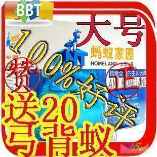 大号蚂蚁工坊蚂蚁家园-特价新奇玩具情人节生日礼物创意礼品