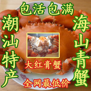  青蟹 赤蟹 大红膏蟹 海鲜 潮汕特产 母蟹 鲜活海蟹 包肥包活 螃蟹