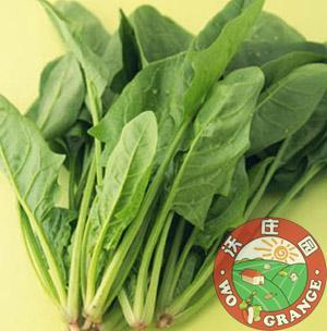  沃庄园精品菠菜 新鲜蔬菜高铁质适清炒蒜蓉 今日秒杀菜市场超市