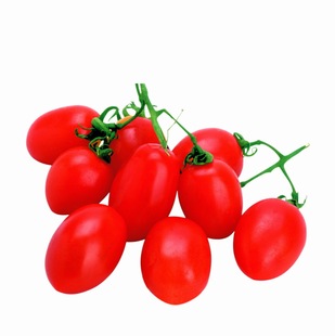  海南红千禧/圣女果 有机种植500克,新鲜水果蔬菜 今日秒杀菜市场