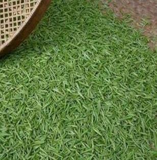黄山名茶 明前新茶叶 高山绿茶 黄山毛峰 清香 包邮在类目 茶, 绿茶(新), 黄山毛峰中 - 来自Buy2taobao.com提供专业的淘宝代购服务