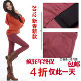 2012新春款潮女韩版糖果色铅笔裤松紧腰弹力小脚裤靴裤
