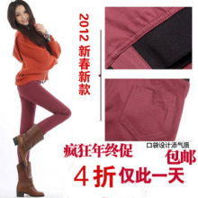 2012新春款潮女韩版糖果色铅笔裤松紧腰弹力小脚裤靴裤