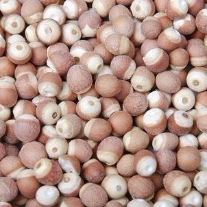  健康有机五谷杂粮粗粮 补品 芡实 鸡头米鸡头莲 治前列腺炎抗衰老