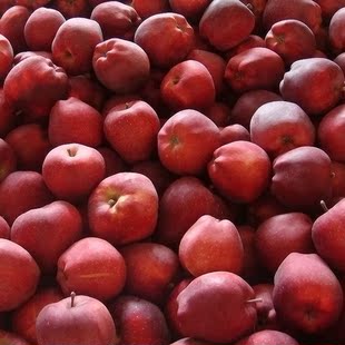  天水花牛苹果 红苹果 红元帅苹果  10.6斤/箱装 7折促销中