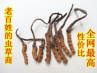  正品冬虫夏草断草 肉节 把子 穿条 黑草 经济实惠家庭自用 可打粉