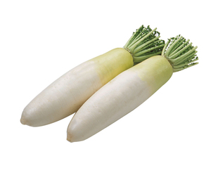  天地生精品蔬菜 白萝卜500g 北京满百包邮