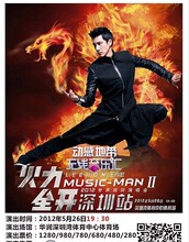 王力宏2012深圳演唱会 王力宏深圳演唱会 前排握手位 现票快递
