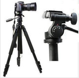 taobao english 7130295968