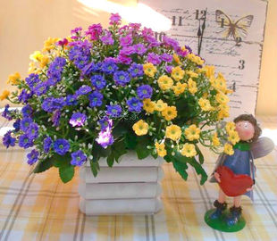  特价仿真花米兰花加花器套装假花5色雏菊/欧式花餐台花装饰花批发