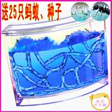 taobao english 5004319406