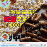 taobao english 7470200540