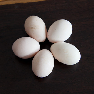  新鲜头窝 初生蛋 宝宝孕妇营养品 满50只鸡蛋 江浙沪皖包邮