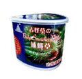 非常有趣的食虫植物食虫草捕蝇草