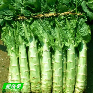  【爱蔬果】绿色食品新鲜蔬菜 莴笋 北京同城配送