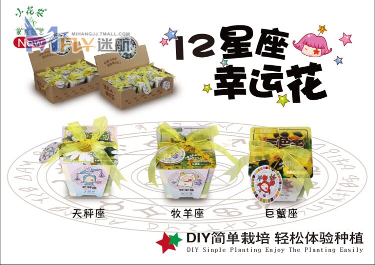 小花农梦花园 十二星座 DIY迷你植物/盆栽花卉种子 情人节礼物