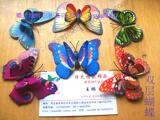 taobao english 14254238543