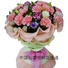 母亲节鲜花生日鲜花吉林延吉市鲜花康乃馨鲜花全国速递/订鲜花