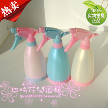 洒水壶 喷水壶/手压式喷水壶/小喷壶 435ml 盆栽必备
