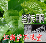 taobao english 14255237124