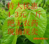 taobao english 15362143410