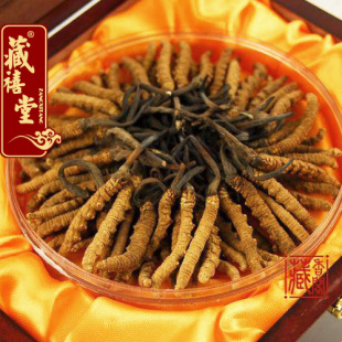  藏禧堂 拉萨产地直销 西藏那曲冬虫夏草 特级精选虫草 3根1克包邮