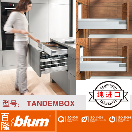 Austria Imported Luxury Damping Blum Blum Tandembox Broome Drawer