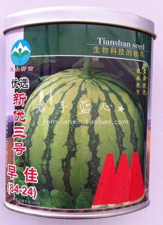 包邮优选新优三号 早佳8424西瓜种子 天山种苗