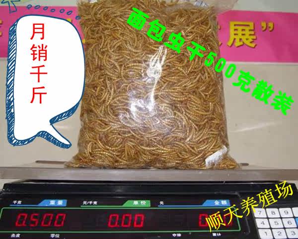 黄粉虫干（面包虫干）1斤(500g)一袋（江浙沪三公斤内5元）