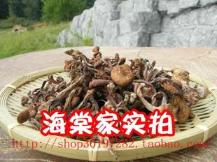  特价#东北榛蘑菇野生榛蘑新货干货新东北特产小鸡炖蘑菇一斤包邮