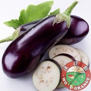  沃庄园 精品布茄/茄子500g,新鲜蔬菜 今日秒杀菜市场超市