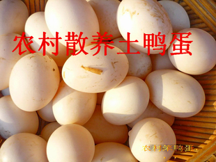  【小农哥】农家散养笨鸭蛋 土鸭蛋 养血美肤 营养超过土鸡蛋