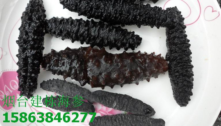 雪參疙瘩米刺海參北極海參土耳其海參海參建棟海參幹貨進口海參在類目 水產肉類/新鮮蔬果/熟食, 海鮮/水產品/製品, 海蔘中 - 來自Buy2taobao.com提供專業的淘寶代購服務