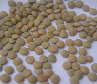  年 新 特价稀有杂粮 小豌豆 白扁豆 滨豆鸡眼豆小扁豆 500克