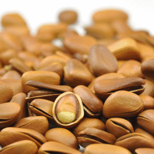  果特加 野生东北红松子 手剥开口松子原味松籽坚果零食特产125g