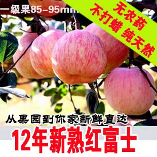  新鲜山东烟台苹果/栖霞红富士苹果85-90mm【肩比新疆阿克苏苹果】