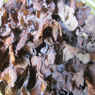 野生木耳 云南特产 黄木耳 干木耳 脆木耳 营养