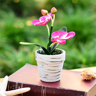  奇居良品 蝴蝶兰仿真花艺配环保花盆盆栽 整体花艺【特价】