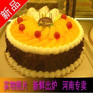  生日蛋糕河南鲜奶水果蛋糕新品上市专业制作新乡许昌焦作洛阳