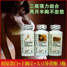 �ʹڷ����ײ� ���ر�+�����ͪ+��ԭ���� ���¼�Чǧ�˼�֤����