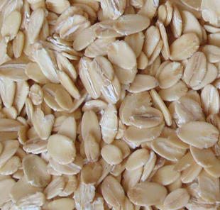  燕麦片 营养食品 燕麦米 有机糖尿病食品 燕麦仁杂粮