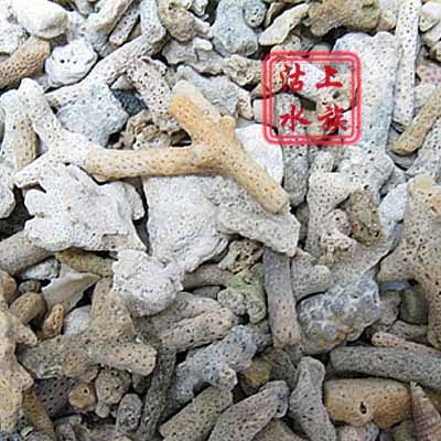 『沽上水族』珊瑚砂/珊瑚石/珊瑚骨/珊瑚沙/底沙/底砂 5斤包邮在类目 宠物/宠物食品及用品, 水族世界, 鱼缸等水族设备, 造景/装饰中 - 来自Buy2taobao.com提供专业的淘宝代购服务