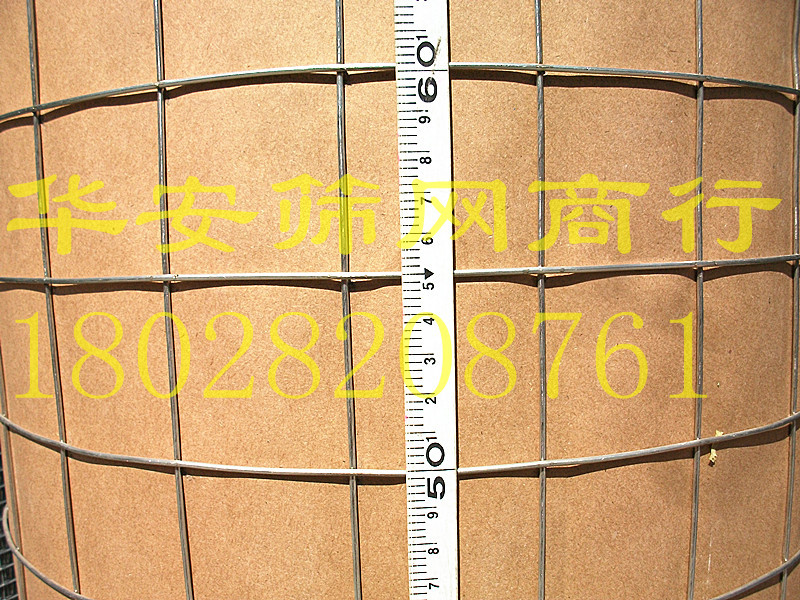 不锈钢电焊网 方孔网 养殖网 防护网 电焊网 围网 5cm孔在类目 基础建材, 其它基础建材, 安全网中 - 来自Buy2taobao.com提供专业的淘宝代购服务
