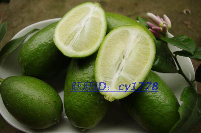 100%现摘 台湾新品种无籽香水柠檬 青柠檬 新鲜柠檬 最美味的柠檬