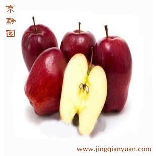  【京黔园】优质进口水果 红蛇果 红苹果 北京买蛇果配送到家