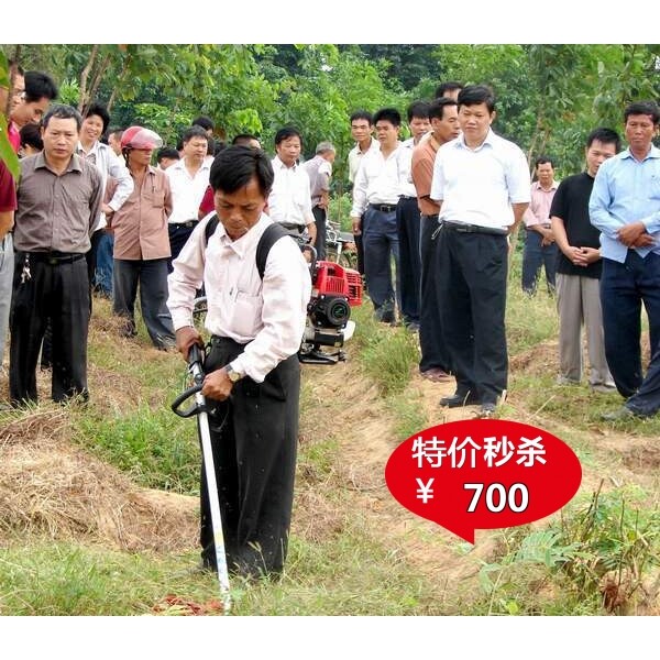 买一送十 正宗华盛139动力四冲程背负式割草机割灌机  视频操作