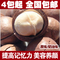 上下架计划:【4包包邮】进口特产坚果奶油口味/原味组合批发零食夏威夷果250g