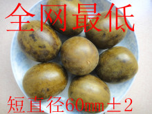 咽炎良药 产地特价促销价 短直径(57---62MM)购满40个包邮送1个