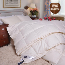 ��˹�ҷ� 95%�׶��ޱ� ��ĸ�� �ļ����ޱ� ������о SJB95E