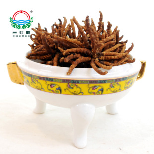  三江源牌青海冬虫夏草一级约4条/克精选虫草礼盒产地直销送礼正品